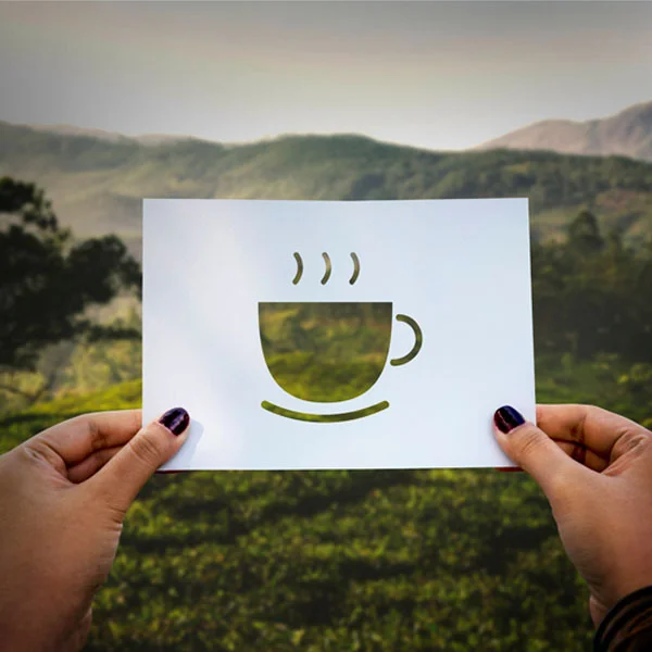 Goodbye Jitters, Hello Clean Energy: A Coffee Alternative with Benefits!